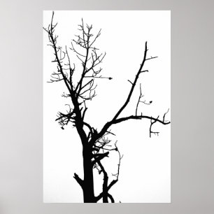 Poster Arbre noir et blanc