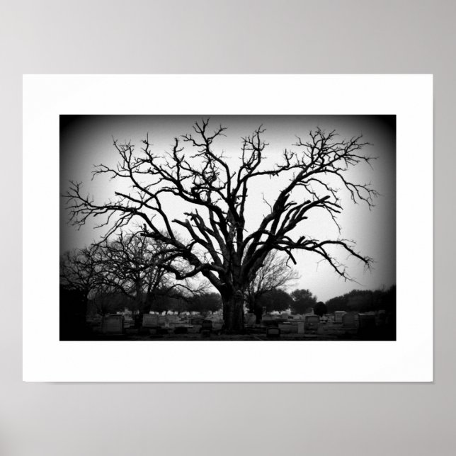 Poster arbre noir et blanc dans le cimetière (Devant)