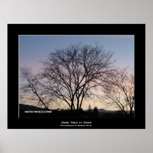 Poster "Arbre nu à Dusk"