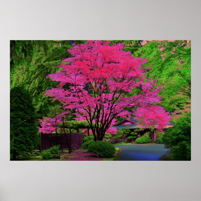 Poster Arbre psychédélique (Devant)