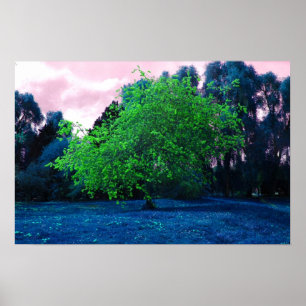 Poster Arbre psychédélique