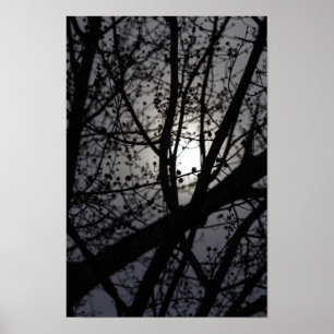 Poster Arbre rétroéclairé