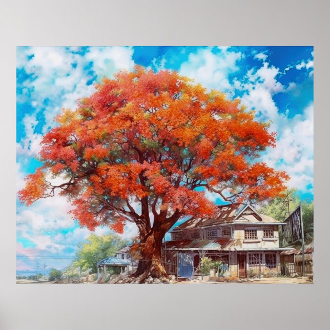 Poster Arbre rustique Royal Poinciana dans l'aquarelle de (Devant)