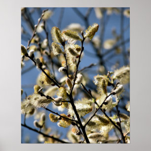 POSTER ARBRE SAUVAGE