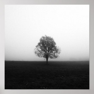 Poster Arbre solitaire dans le brouillard noir et blanc