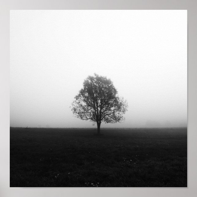 Poster Arbre solitaire dans le brouillard noir et blanc (Devant)