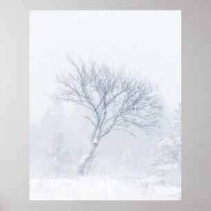 Poster Arbre solitaire pendant la tempête de neige en hiv
