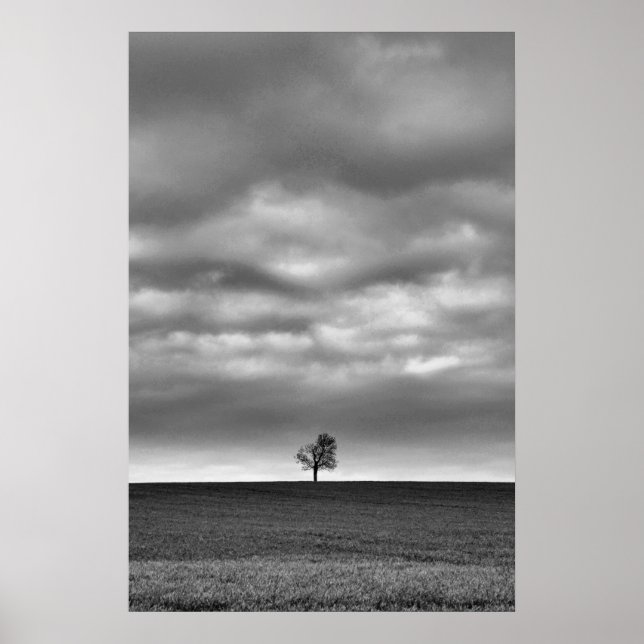 Poster Arbre Sur La Colline (Devant)
