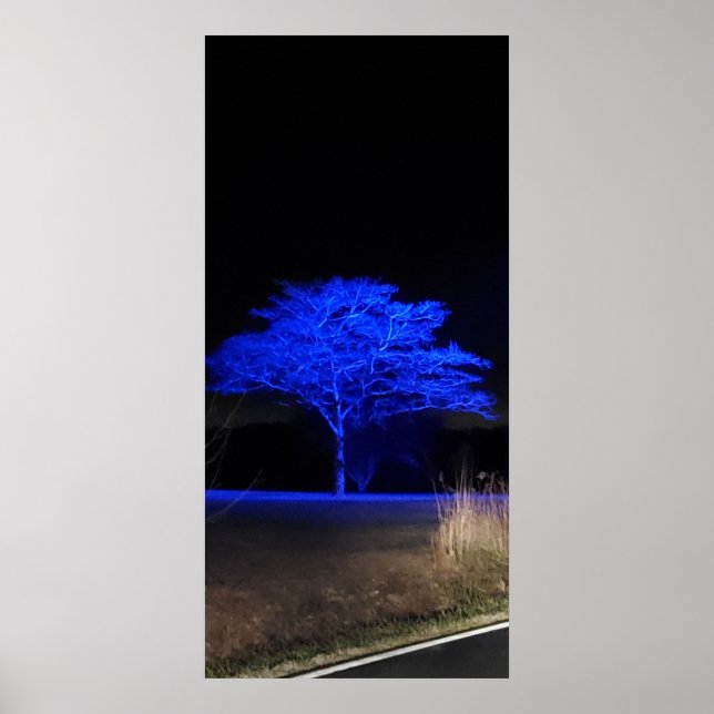 Poster Arbre teint bleu (Devant)