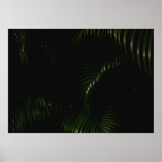 POSTER ARBRE VERT (Devant)