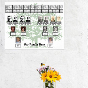 Poster Arbre vert clair tirant deux arbres familiaux