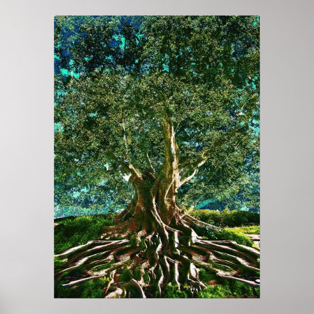 Poster Arbre vert de vie (Devant)