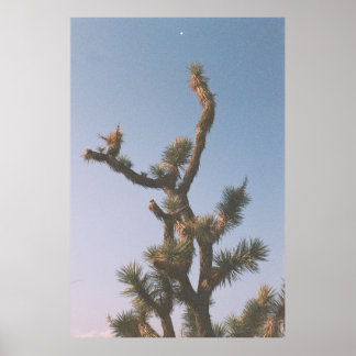 POSTER ARBRE VERT ET BROWN SOUS LE CIEL BLEU