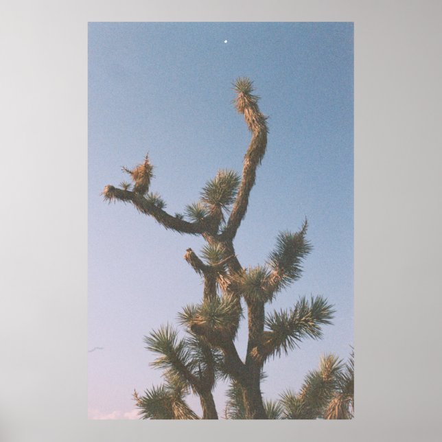 POSTER ARBRE VERT ET BROWN SOUS LE CIEL BLEU (Devant)