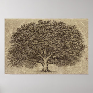 Poster Arbre vintage