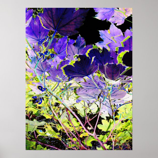 POSTER ARBRES (Devant)