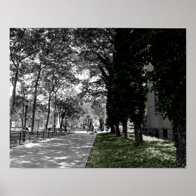 Poster Arbres (Devant)