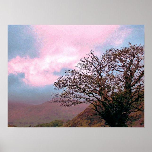 POSTER ARBRES (Devant)