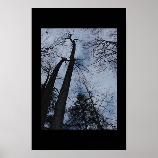 Poster arbres (Devant)