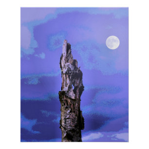 POSTER ARBRES
