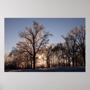 Poster Arbres à glace rétroéclairés