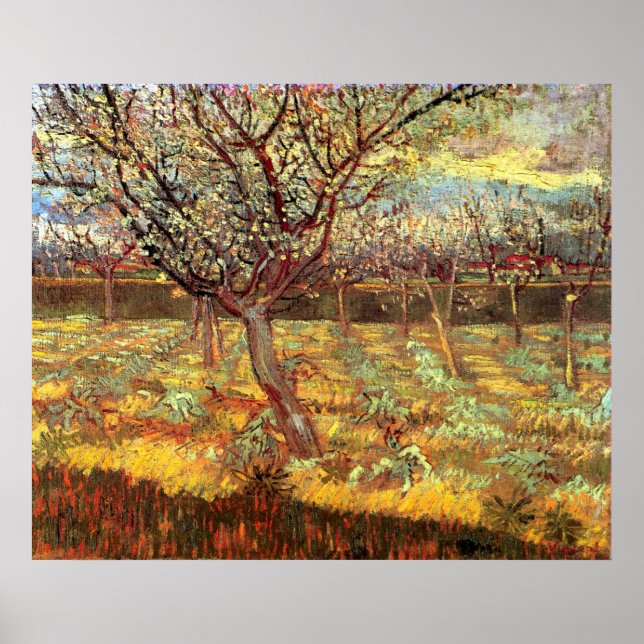 Poster Arbres abricot en fleurs par Vincent van Gogh (Devant)