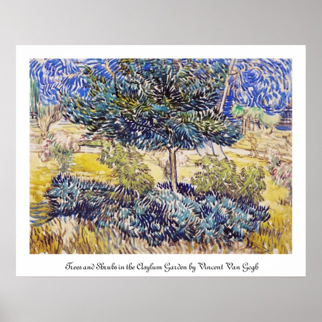 Poster Arbres Arbustes Asile Jardin Vincent Van Gogh (Devant)