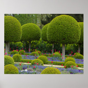 Poster Arbres Arrondis
