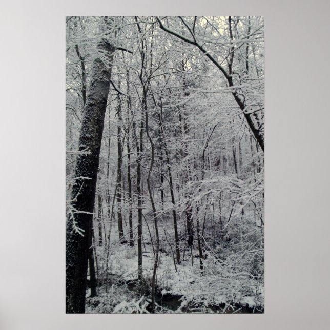 Poster Arbres couverts de neige (Devant)