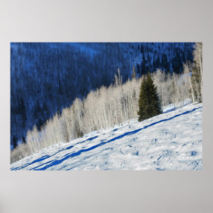 Poster Arbres d'argent