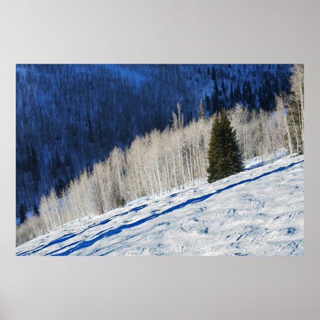 Poster Arbres d'argent (Devant)