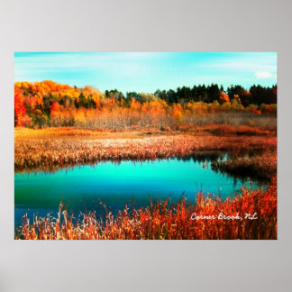 Poster Arbres d'automne et marais Terre-Neuve Canada