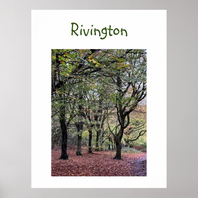 Poster Arbres d'automne Rivington (Devant)