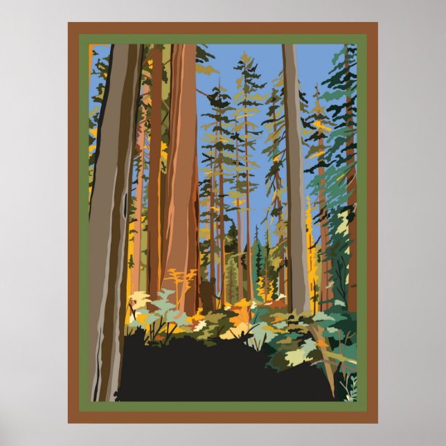 Poster Arbres de Californie (Devant)