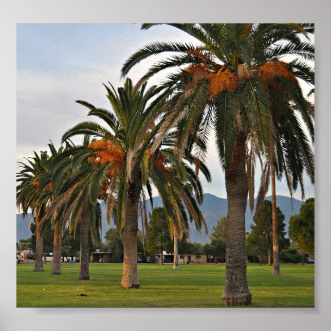 Poster Arbres de datation délicieux (Devant)