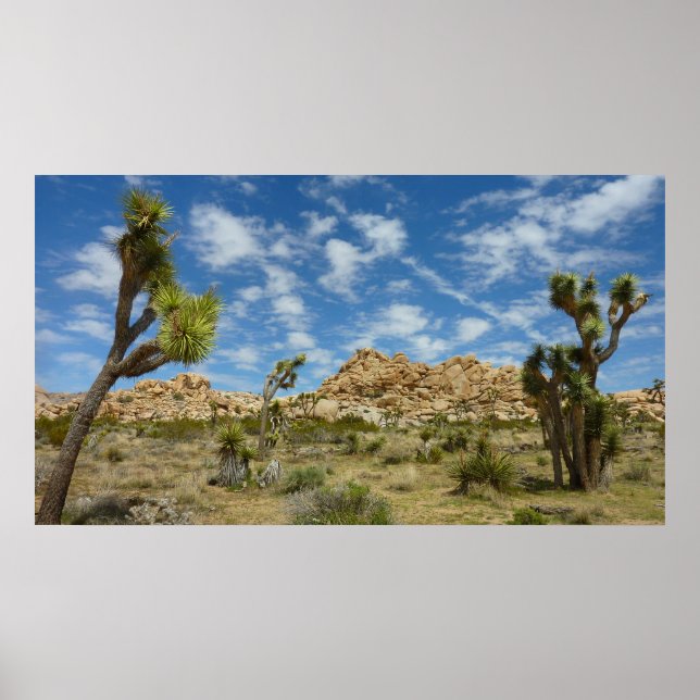 Poster Arbres de Josué et paysage désertique ciel bleu (Devant)