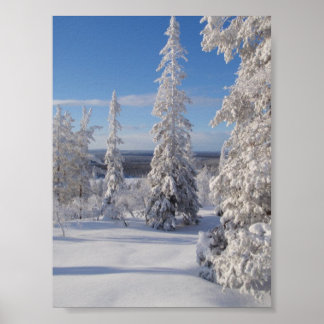 Poster Arbres de montagne 1