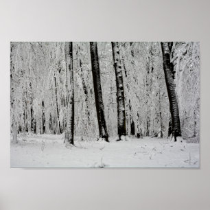 Poster Arbres de neige d'hiver   -     -