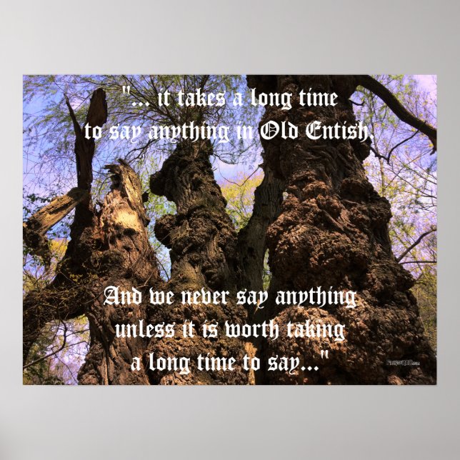 Poster - Arbres de sagesse avec Citation finale (Devant)