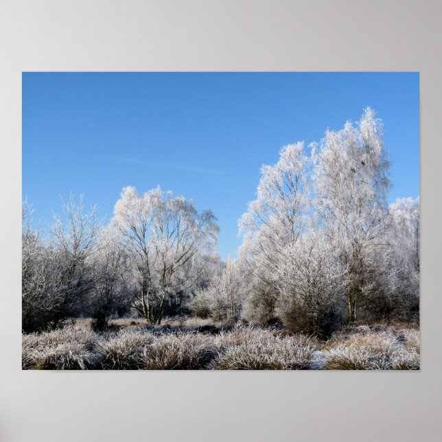 POSTER ARBRES D'HIVER (Devant)