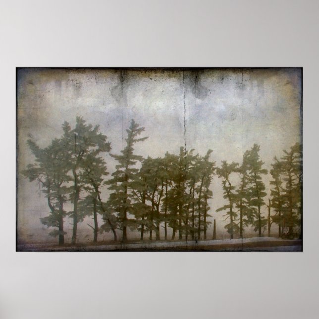 Poster Arbres d'hiver (Devant)