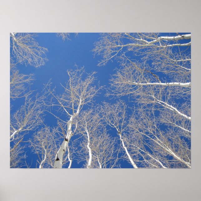 Poster Arbres d'hiver (Devant)