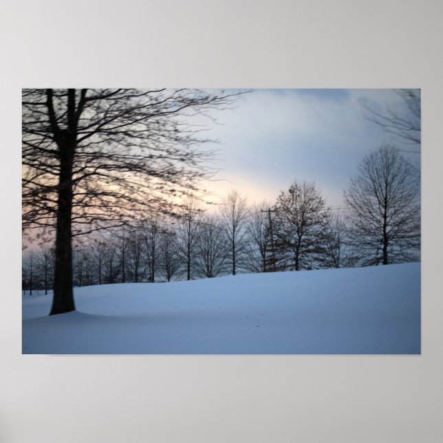 Poster Arbres d'hiver pittoresques (Devant)