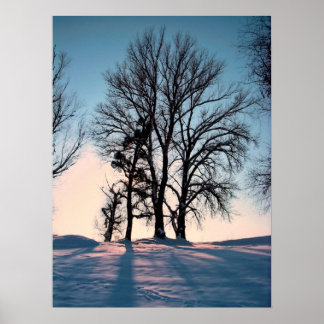 Poster Arbres d'hiver sur le crépuscule bleu ciel arrière