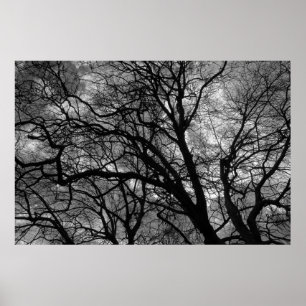 Poster Arbres en hiver