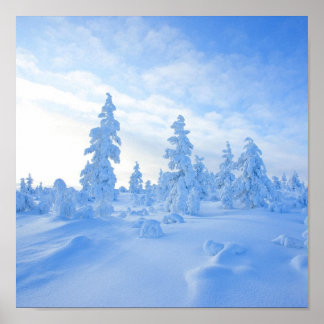 Poster arbres enneigés en Laponie en Finlande