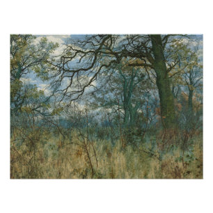 Poster Arbres et sous-bois – Jardin William Fraser
