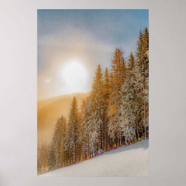 Poster Arbres forestiers d'hiver #17 (Devant)