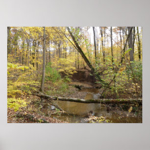 Poster Arbres jaunes d'automne au ruisseau