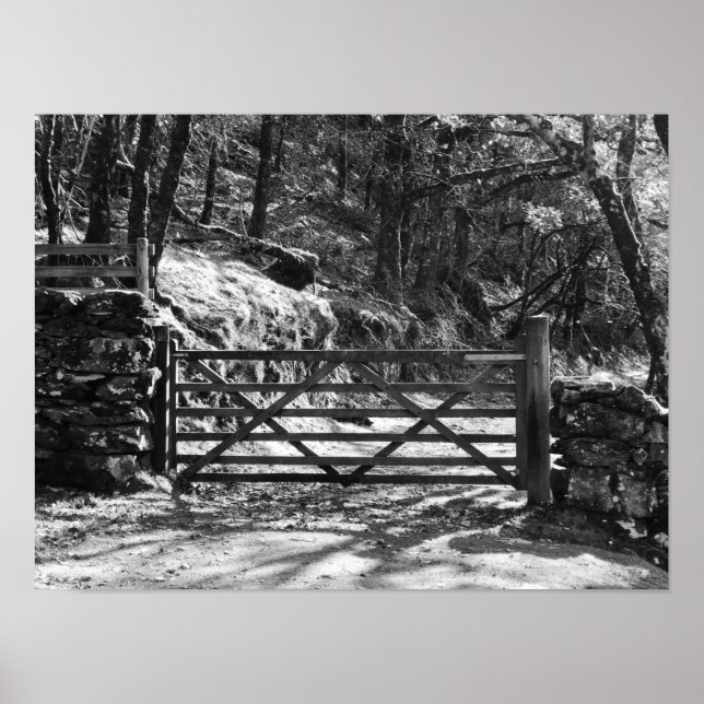 POSTER ARBRES NOIRS ET BLANCS ET PAYSAGE DE PORTE (Devant)